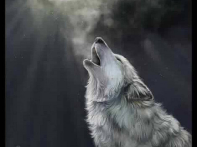 Βιώνουν τα ζώα επιθανάτιες εμπειρίες;