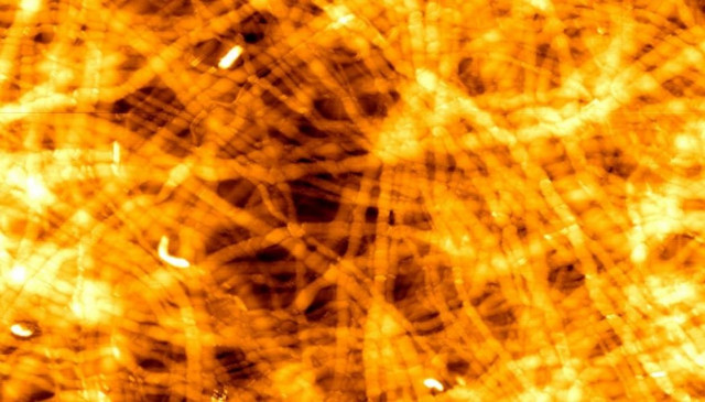 Το φως στην υπηρεσία της ιατρικής