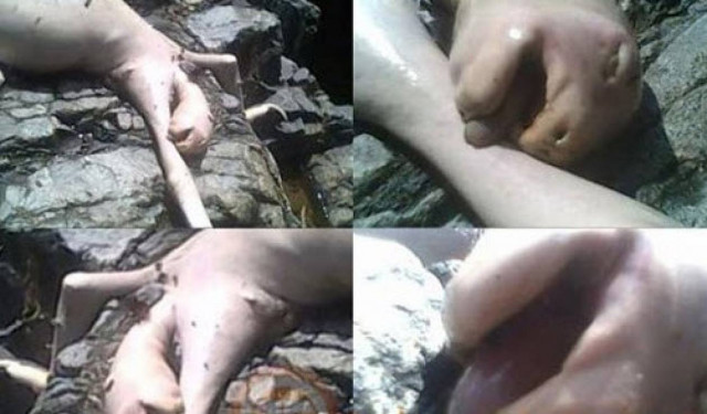 Εξωγήινο ον ή φάρσα, στον Παναμά;