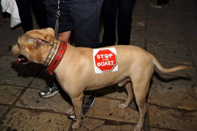 Χανιά: Πυροβόλησαν και κακοποίησαν σκυλιά για εκδίκηση!