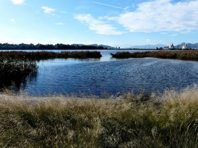 Πρόγραμμα προστασίας της λίμνης Κουμουνδούρου
