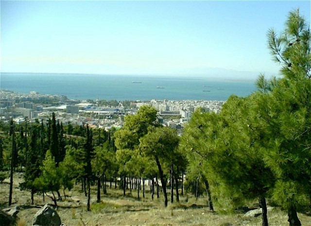 Προστασία από τους...εμπ​ρηστές του Σεΐχ Σου