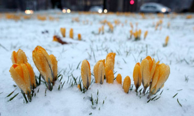 Λευκό τοπίο η Ευρώπη!