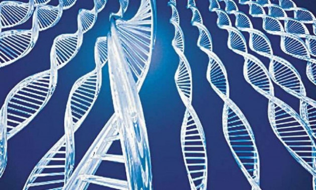 Ανακάλυψαν το γονίδιο της ευτυχίας!