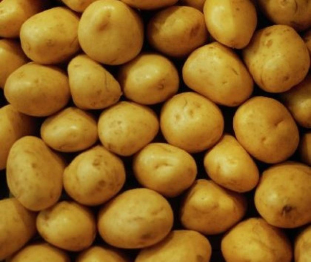 Πως να καλλιεργήσετε πατάτες στο μπαλκόνι σας