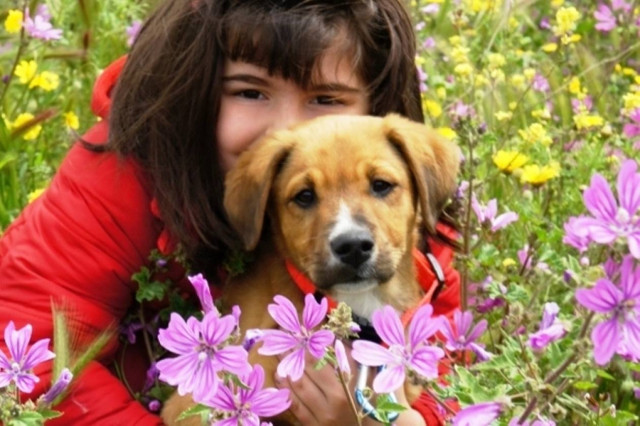 Γουφ Φέστιβαλ στο Πάρκο Τρίτση στο Ίλιον