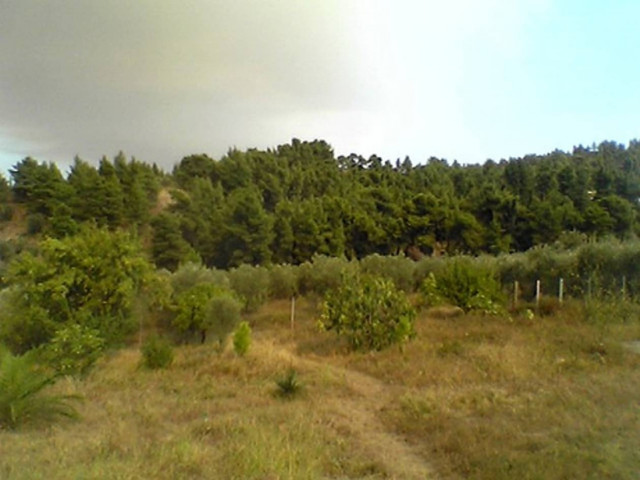 Αυτή τη Κυριακή καθαρίζουμε το Σέιχ Σου