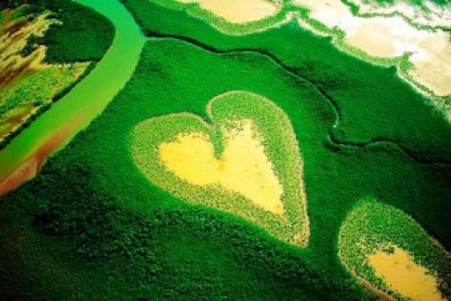 22 Μαΐου: Παγκόσμια Ημέρα Βιοποικιλότητας