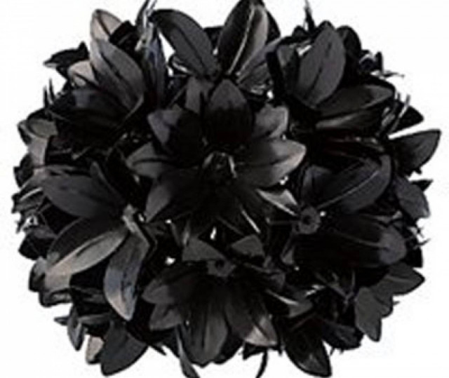 Αν υπάρχουν φυτά σε άλλους πλανήτες, τι χρώμα θα έχουν;