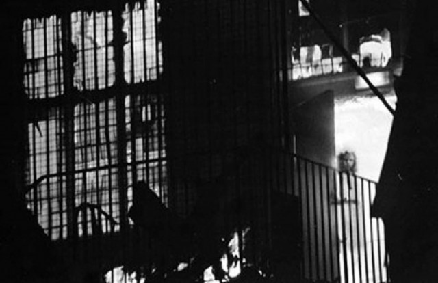 Λύθηκε το μυστήριο μιας από τις πιο διάσημες φωτογραφίες φαντασμάτων;