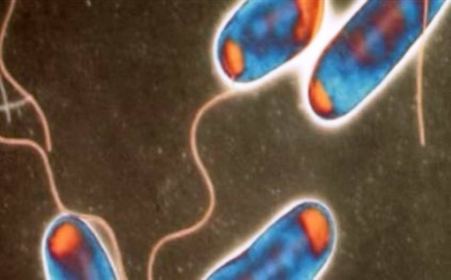 Τι είναι η νόσος των λεγεωναρίων;