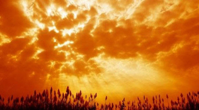 Οι υπολογισμοί για την μελλοντική εξαφάνιση των ειδών, είναι λάθος;