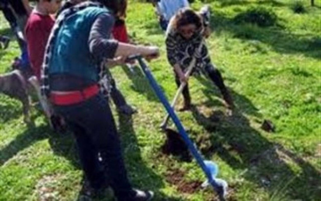 Μαθητές «πρασίνισαν» το Γύθειο