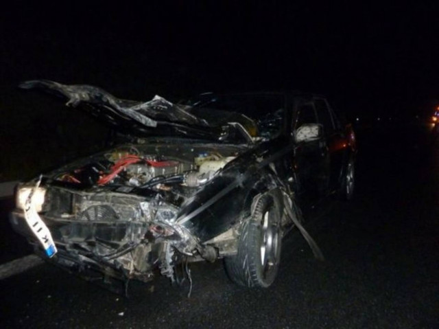 Μία ακόμα αρκούδα νεκρή στην Εγνατία Οδό