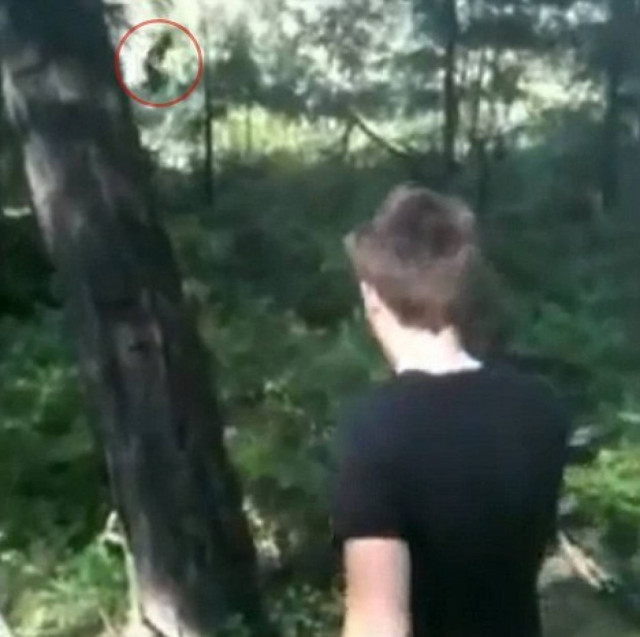 Συνάντησε τον Μεγαλοπόδαρο!