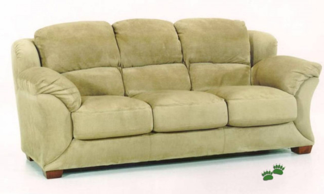 Παρέλαβαν καναπέ… μαζί με ένα φίδι