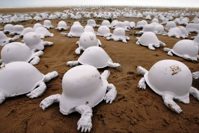 Οι χελώνες «καταγγέλλουν» την παγκόσμια βία