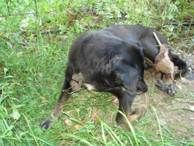 Τον γλίτωσαν από το μαρτύριο