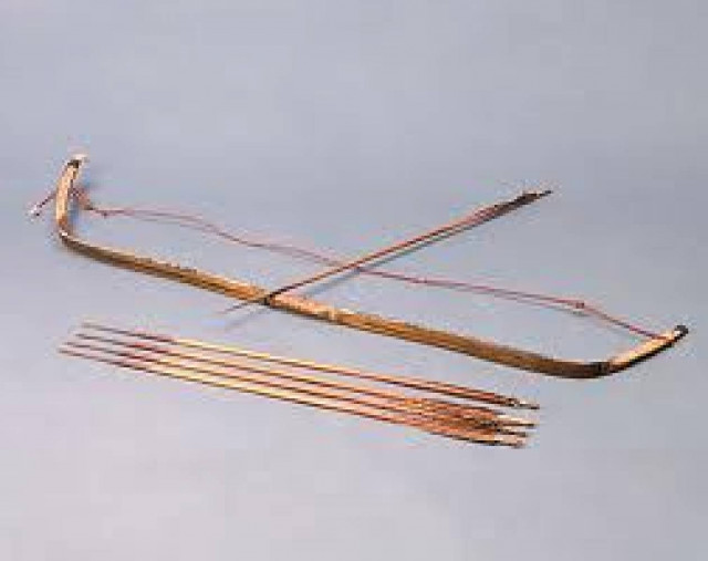 Ολλανδός "νίντζα" συνελήφθη στη Ρόδο !