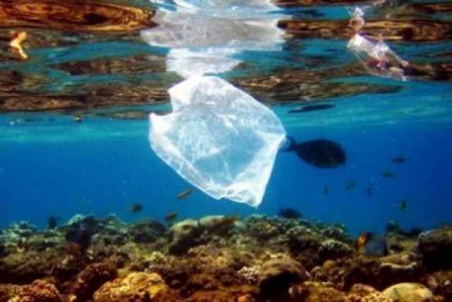 EE: Καμπανάκι για τη θαλάσσια ρύπανση