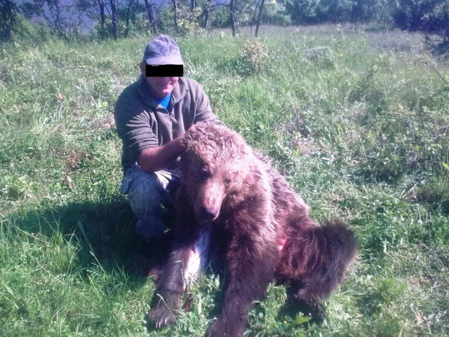 Σκότωσε αρκούδα στο Βέρμιο