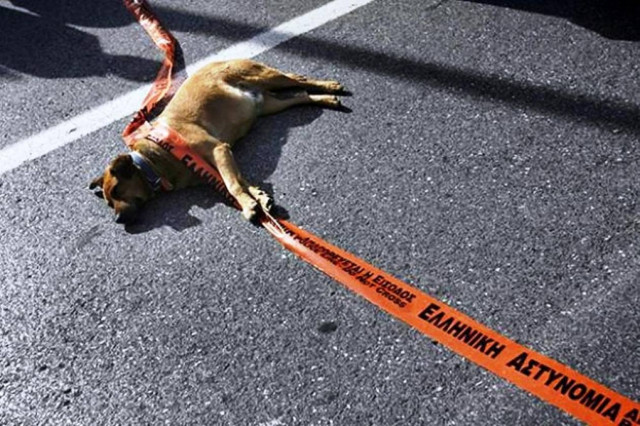 Mαθήματα φιλοζωίας στους φοιτητές των Αστυνομικών Σχολών