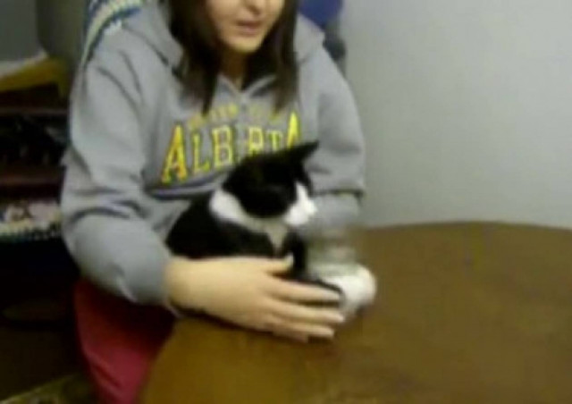 Γάτα πίνει νερό... με ποτήρι