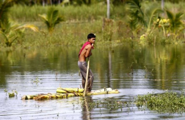 Πλημμύρα από νούφαρα στις Φιλιππίνες