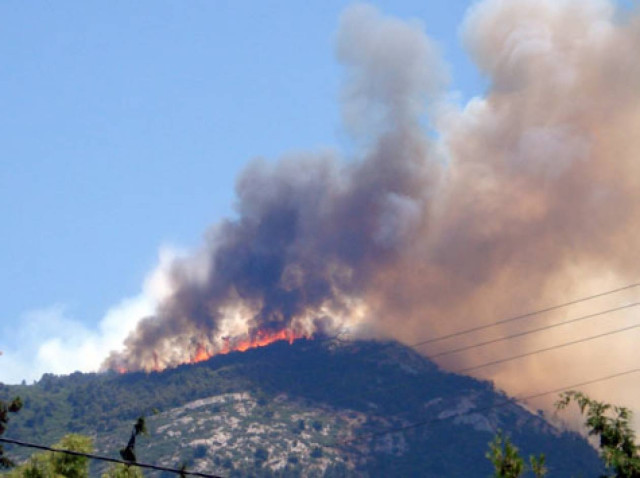 Παραδομένη στις φλόγες η Αμαλιάδα