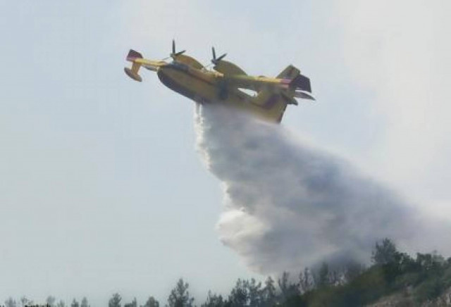 Πυρκαγιά στην Μακρακώμη Φθιώτιδας