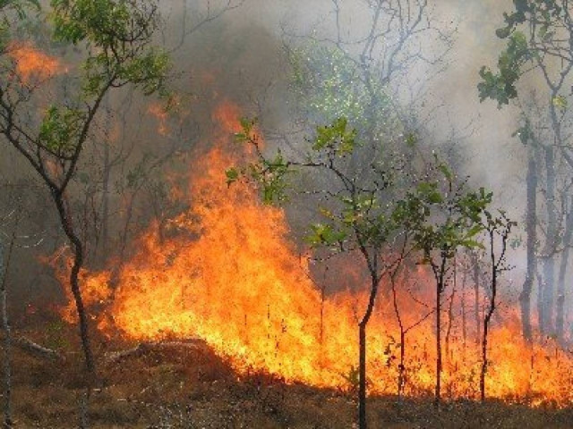 Υπό έλεγχο η πυρκαγιά στη Σαλαμίνα