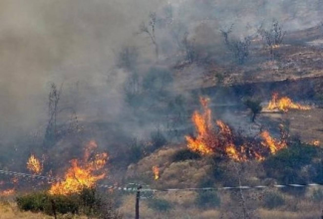 Υπό έλεγχο η φωτιά στη Μεσσηνία