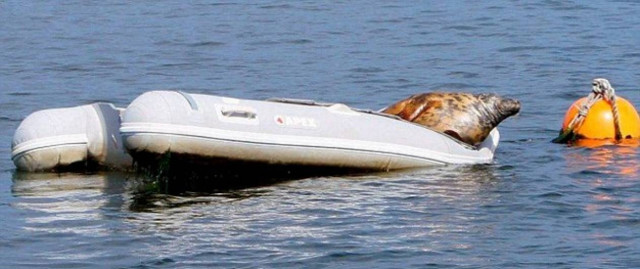 Κινδύνεψαν δύο ανήλικοι στο Ηράκλειο Κρήτης