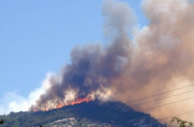 Υπό έλεγχο η πυρκαγιά στο Δήλεσι
