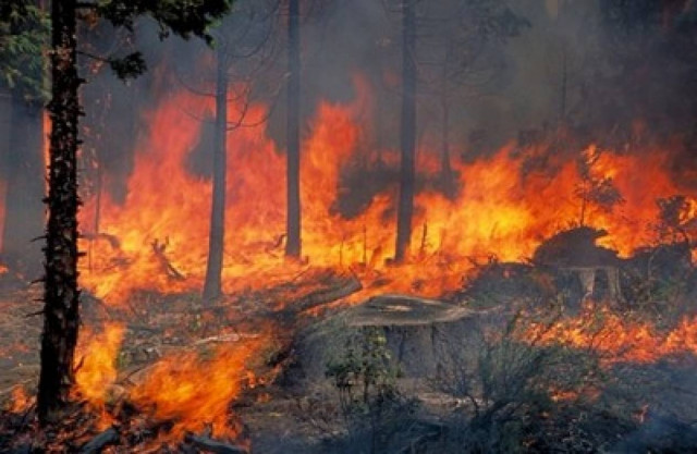"Εισαγωγή" πυρκαγιάς από την Αλβανία