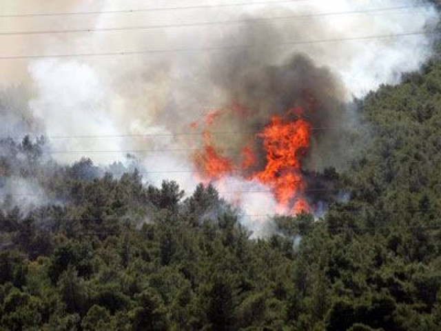 Φωτιά στην Εύβοια
