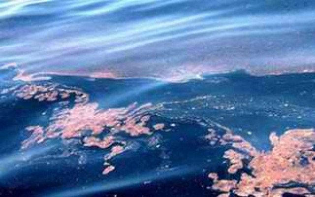 Σπασμένος αγωγός κατέστρεψε την παραλία του Πάνορμου