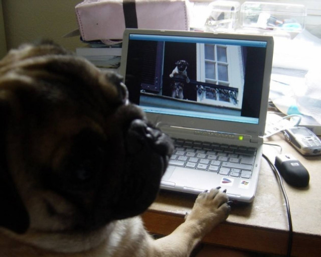 Ο ηλεκτρονικός υπολογιστής είναι ο… καλύτερος φίλος του ανθρώπου