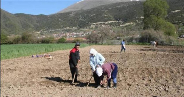 Οι αγρότες χάνουν 90 εκατομμύρια ευρώ