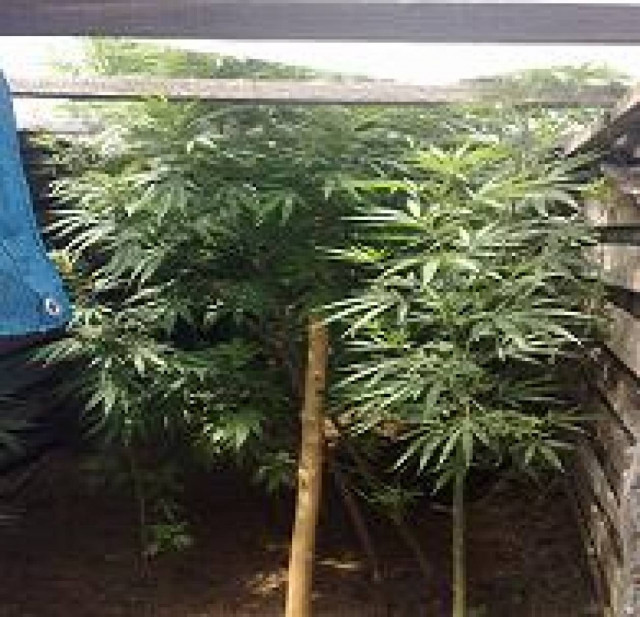 Στα χέρια της Αστυνομίας μεγάλη εγκληματική οργάνωση