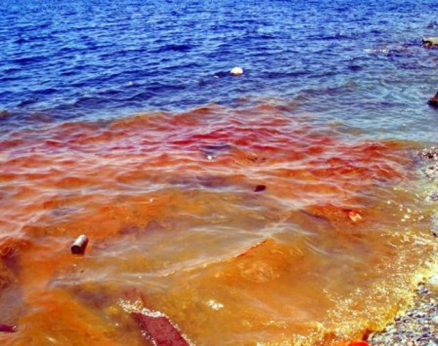 Η Παλαιόχωρα Χανίων μετατρέπει σε βόθρους γειτονικές παραλίες