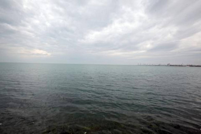 Πέταξε το σκύλο στη θάλασσα, γιατί γάβγιζε...