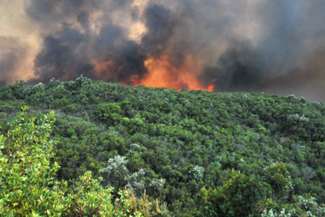 Σε πύρινο κλοιό Αιτωλικό, Αγρίνιο και Γύθειο