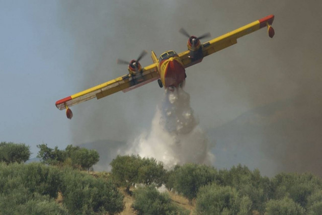 Μάχη με τις φλόγες δίνουν στην Αλεξανδρούπολη
