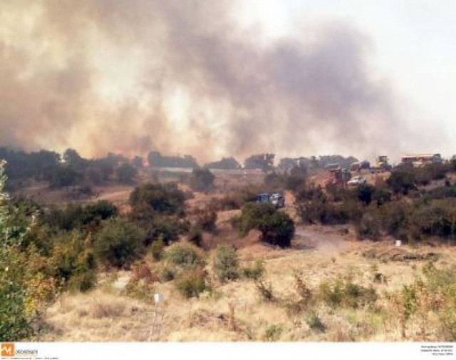 Υπό μερικό έλεγχο η φωτιά στην Μαρουλού Χανιών
