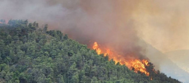 Πυρκαγιά στο Λασίθι