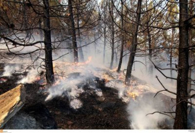 Έσβησαν οι φωτιές σε τέσσερις περιοχές