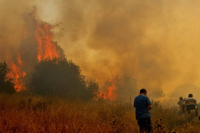 Μαίνεται η μάχη με τις φλόγες – Τεράστια οικολογική καταστροφή