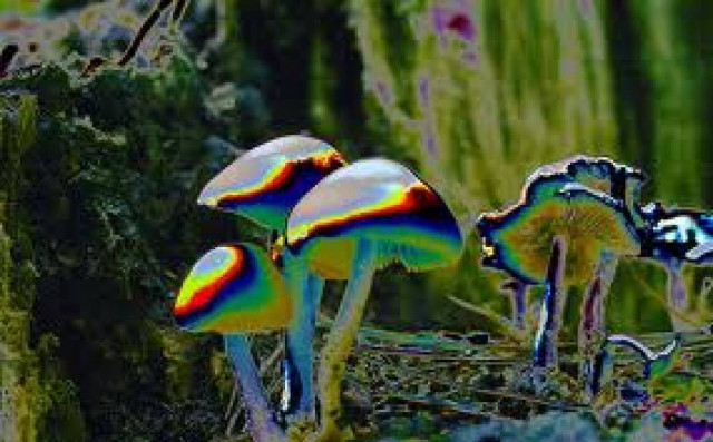 Μετέφερε την …παραίσθηση