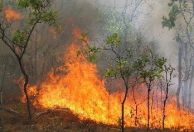 Αντιπλημμυρικά έργα στα καμένα